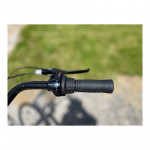 Mestský bicykel 28" Lavida Senator s nízkym nástupom rám: 17,5 Čierny